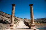 cendere, arsemia